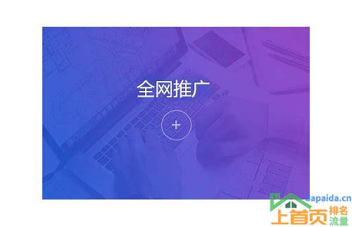 seo关键词优化深圳的汇总