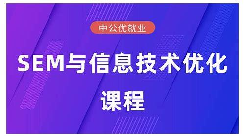 辽宁SEO优化全攻略:技巧、策略与案例解析