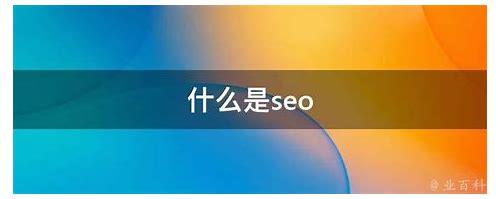 SEO拼音简介