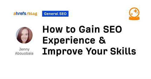 seo经验简介