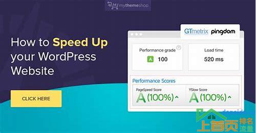 WordPress网站优化:从入门到精通
