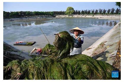 大同网站优化简介