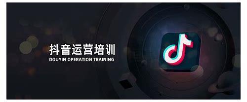 阜阳SEO简介