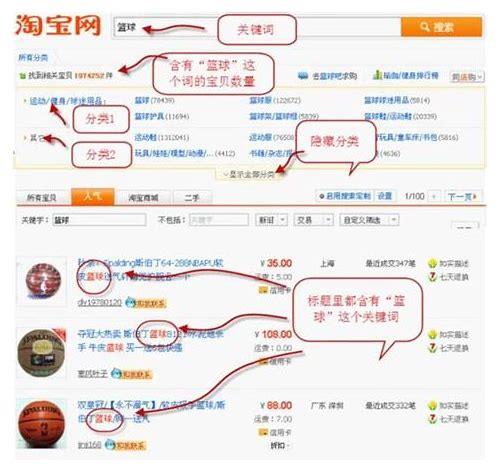 泰州SEO简介