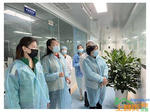 成都整站优化:助力企业网络营销的利器