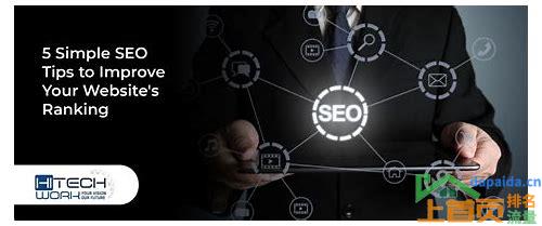 SEO快速排名网站优化:提升网站流量和收益的关键