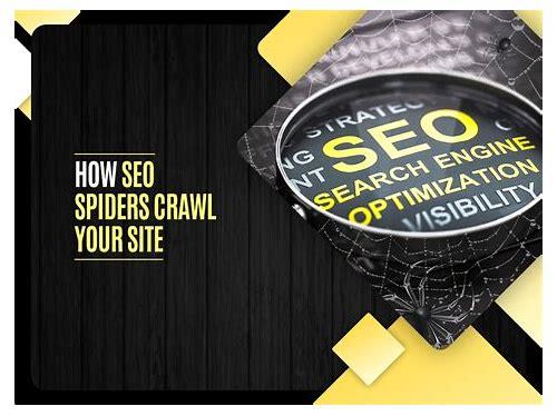 SEO蜘蛛:网站排名的隐形推手与优化策略