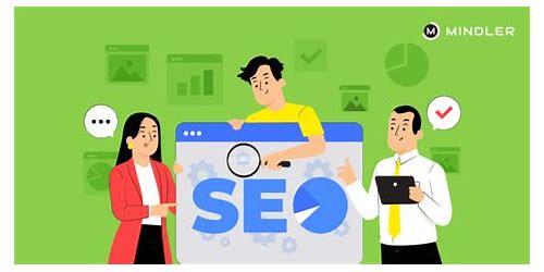 SEO专员的核心职责与优化策略全解析