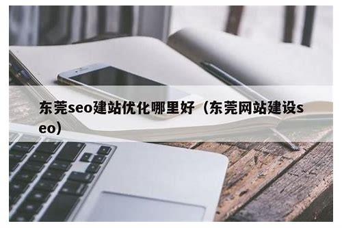 东莞SEO简介