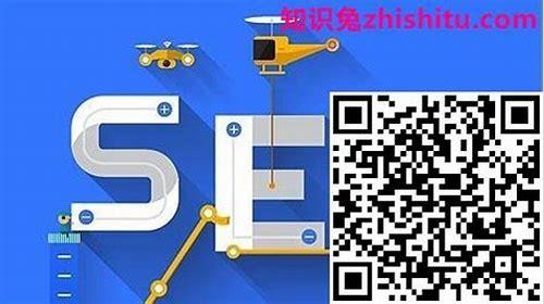 海南SEO简介