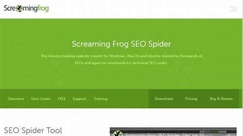 SEO蜘蛛精简介