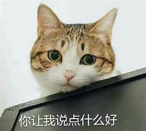 seo拓客简介