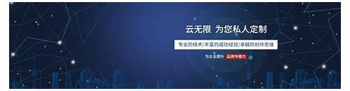 成都做SEO简介