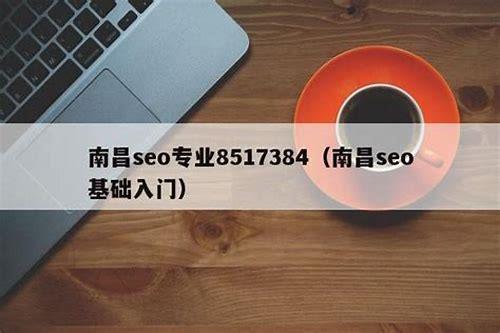 南昌SEO简介