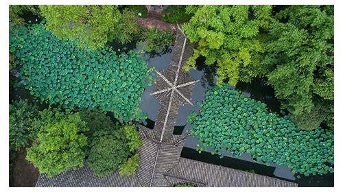 眉山SEO优化:提升本地企业网络影响力的秘籍
