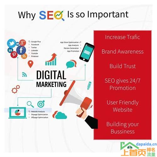 短视频seo优化排名的汇总
