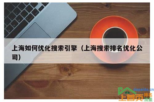 上海SEO网站排名优化的汇总