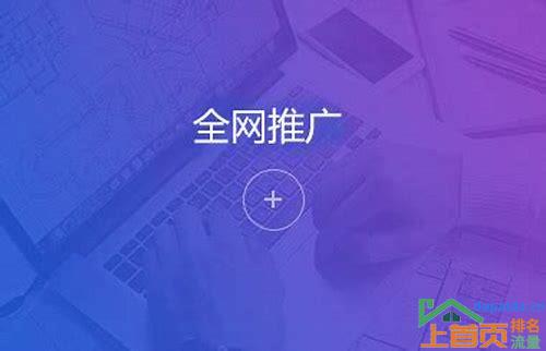 SEO优化公司的选择:以深圳排名SEO优化公司为例