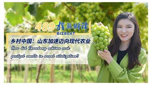 山东SEO简介