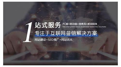 天津SEO简介