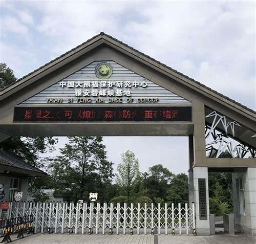 雅安SEO简介