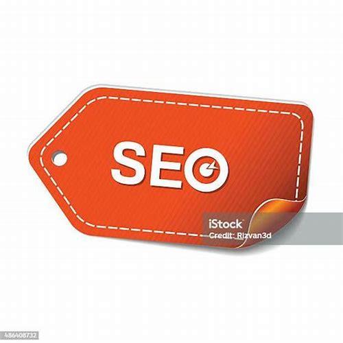 seo橘子简介