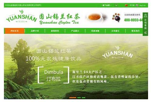 福建SEO简介