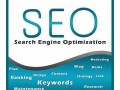 从零基础到精通：SEO教程全解析，助你网站流量飙升
