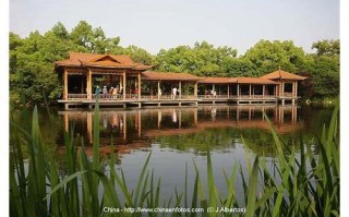 华罡SEO：解锁搜索引擎优化的“炼金术”，助力企业网站登顶首页
