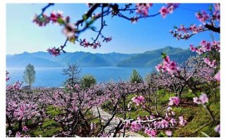 丹东SEO：如何通过优化策略提升本地网站排名