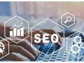 SEO优化：提升网站可见性与流量的关键策略