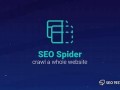 SEO蜘蛛屯：优化策略与实战指南