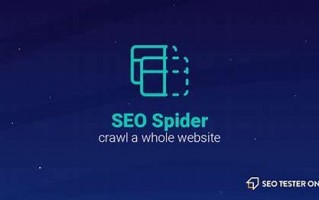 SEO蜘蛛屯：优化策略与实战指南