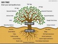 枫树SEO网：全方位优化工具助力网站排名提升