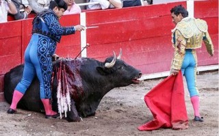 斗牛SEO：掌握技巧，助网站排名飙升