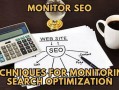 SEO监控：网站优化的关键防线与上首页 SEO 网的助力