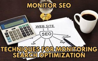 SEO监控：网站优化的关键防线与上首页 SEO 网的助力