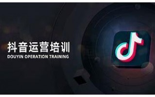 阜阳SEO优化秘籍：掌握策略，提升网站排名与流量
