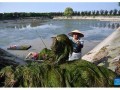 大同网站优化：提升网站流量与排名的秘籍