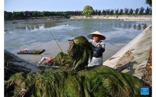 大同网站优化：提升网站流量与排名的秘籍