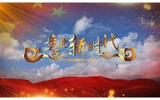 代哥SEO：专业优化助力网站排名飙升