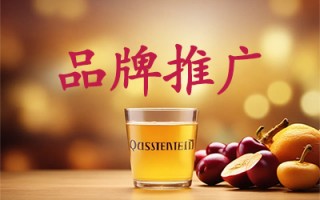 百度品牌推广广告投放