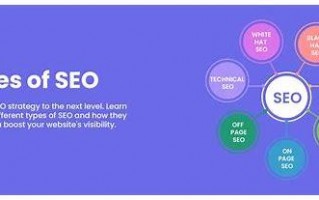 整站SEO：提升网站整体竞争力的全面优化策略