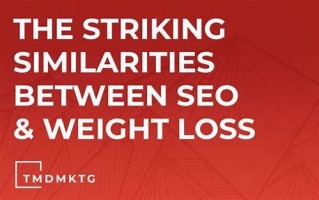 提升 SEO 权重：策略、技巧与实践