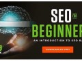 seo简介：探索搜索引擎优化的奥秘与价值