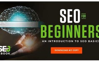 seo简介：探索搜索引擎优化的奥秘与价值