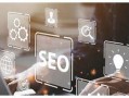 seo优化推广软件forum