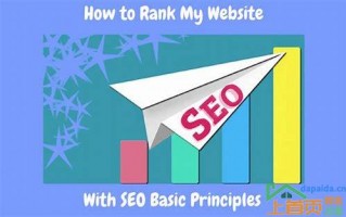 seo网站怎么排名(seo网站怎么排名的汇总)