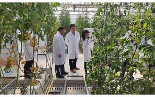 丹阳SEO优化技巧大揭秘：提升网站排名的实用方法