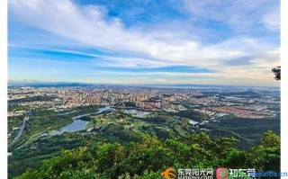 东莞整站优化的汇总